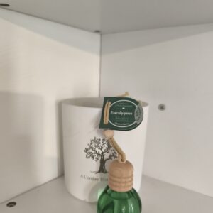 DIFFUSEUR EUCALYPTUS