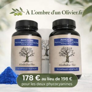 PHYCOCIANINE NATURE 90 GÉLULES 200MG 2flacons