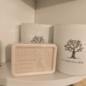 SAVON LAIT D'ANESSE 120GR