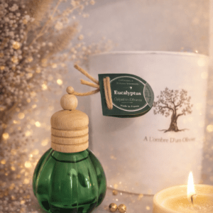 DIFFUSEUR EUCALYPTUS