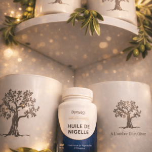 GELULES DE NIGELLE 500mg 60Gel